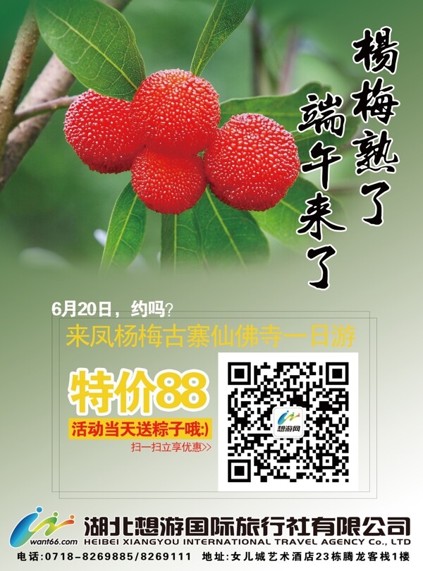 端午一日游宣傳單