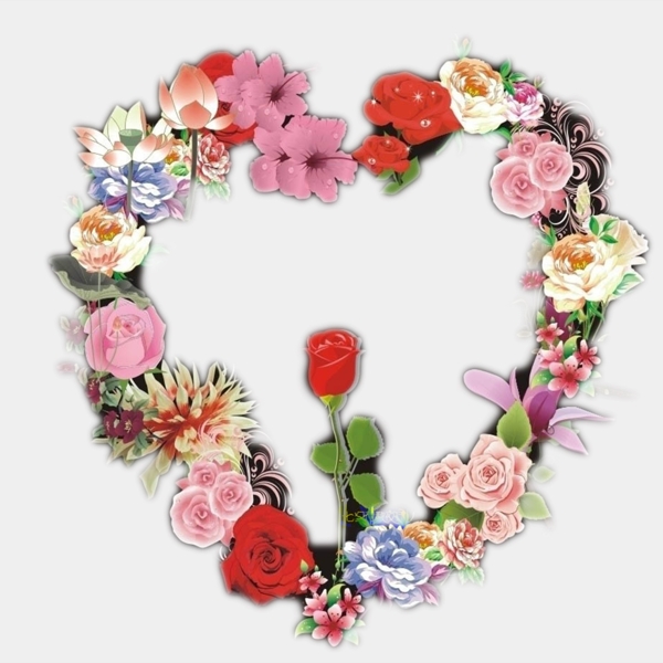 花環(huán)