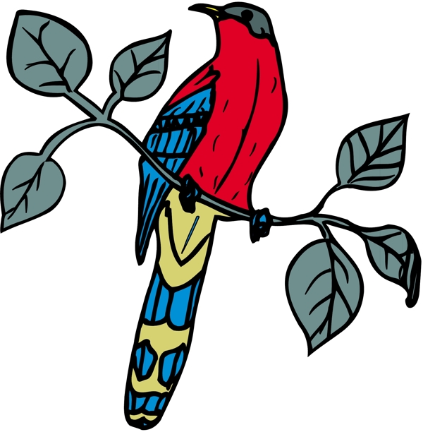 各種鳥類鳥動(dòng)物矢量素材EPS格式0057