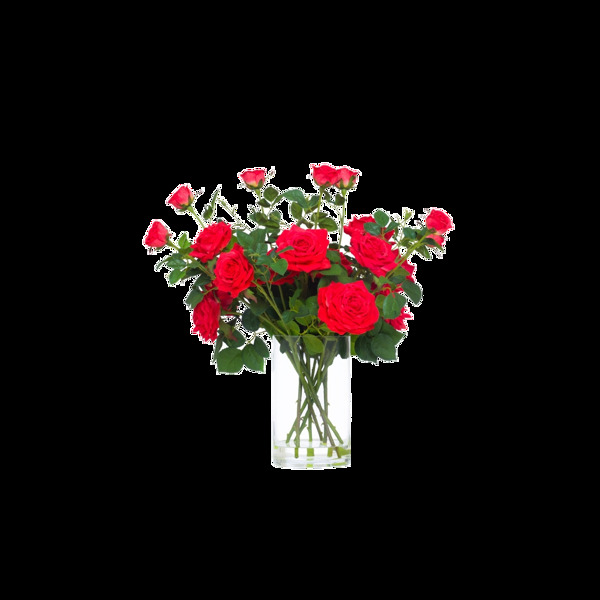 美丽艳红色玫瑰花花朵花束实物元素