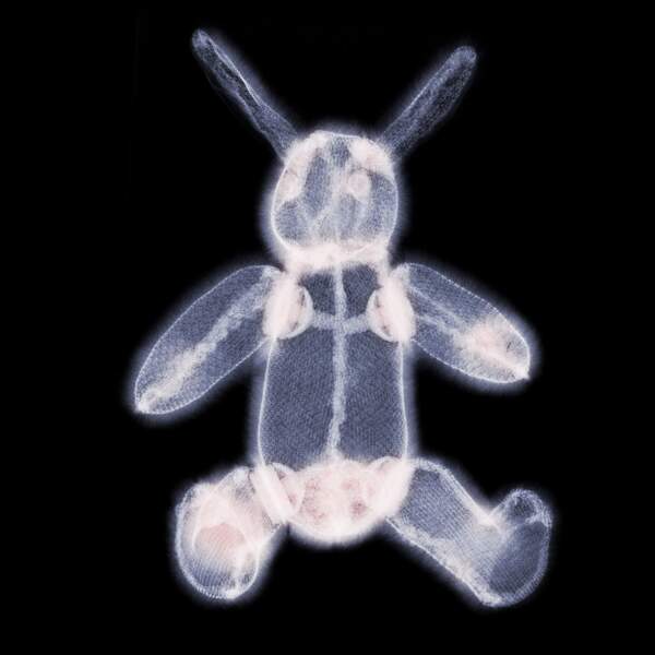 X光下的兔子玩偶