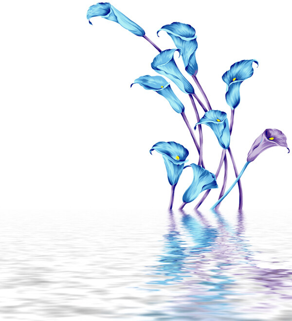 水中藍色花卉倒影圖