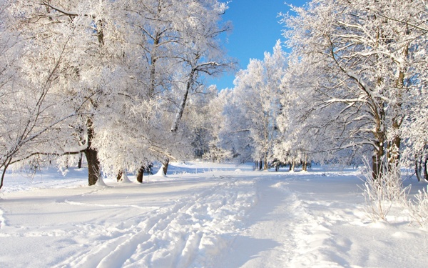 雪景圖片