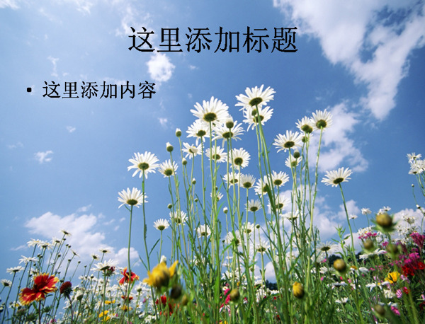 1680x1050高清風(fēng)景ppt22
