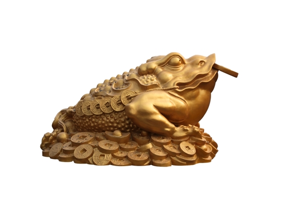 蟾蜍圖片