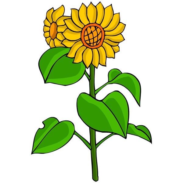 花卉古典插畫