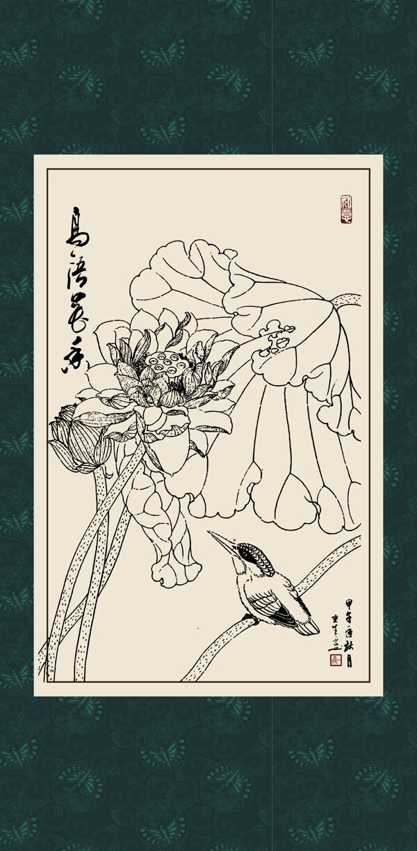 白描荷花圖片