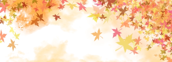 秋季枫叶飘落背景
