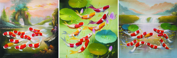 金魚素材