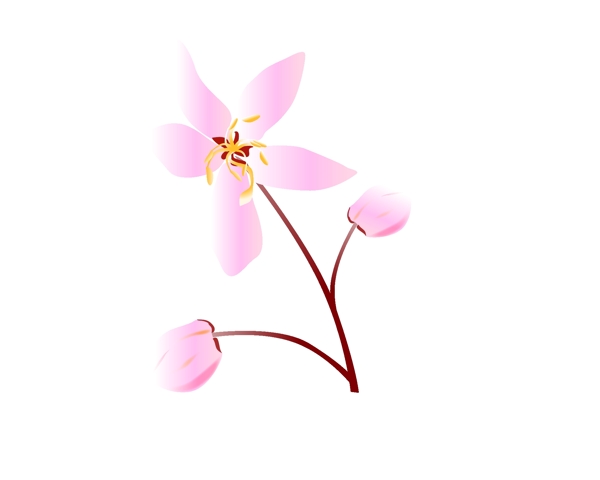 粉色樱花花瓣花朵插图