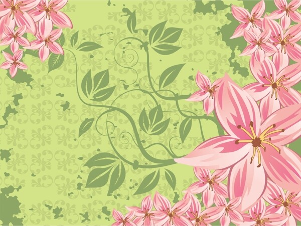 歐美花紋724矢量CDR