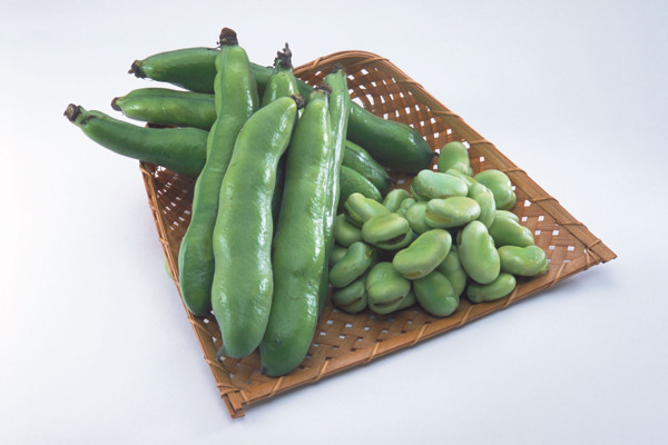 蠶豆圖片