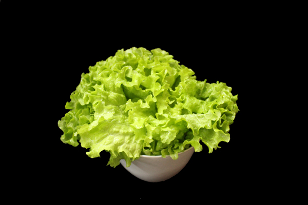 生菜