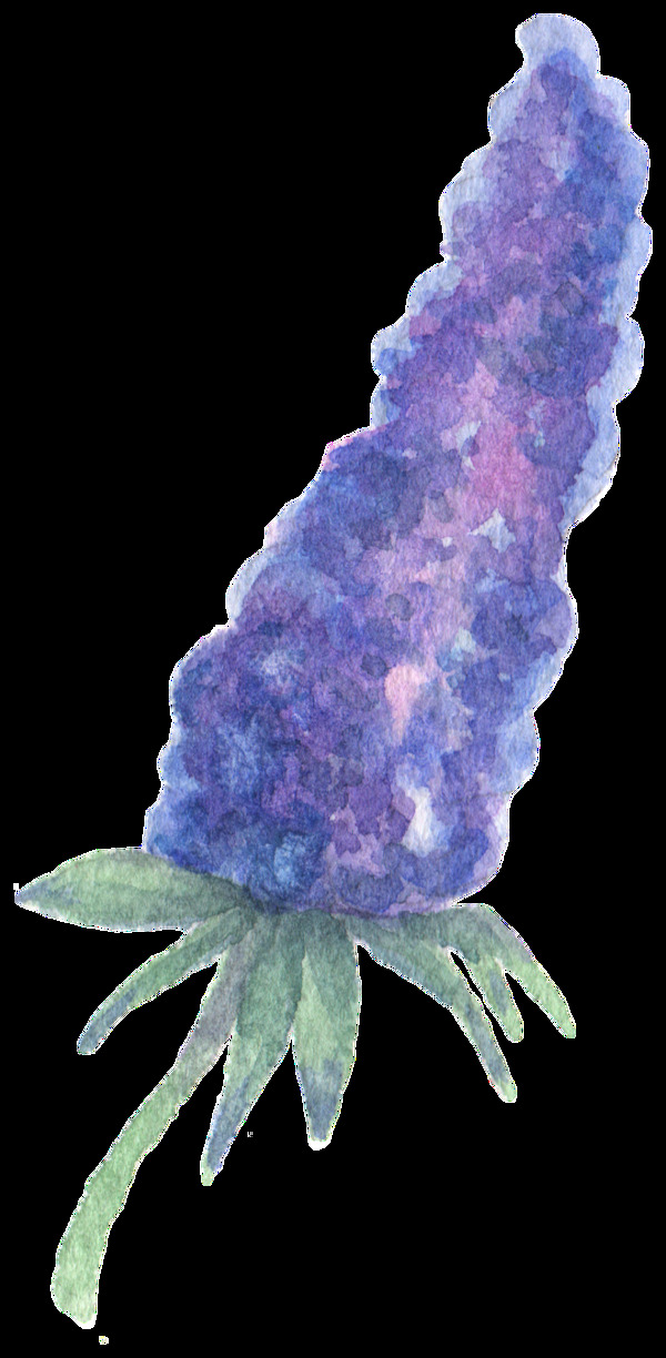 水分葡萄透明裝飾素材