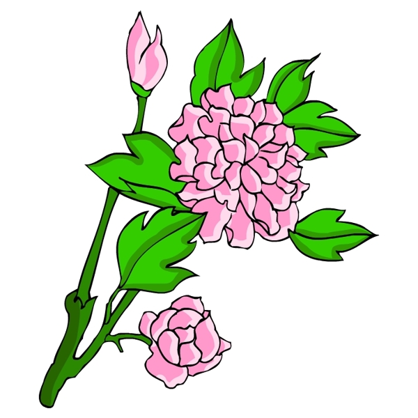 花卉古典插畫