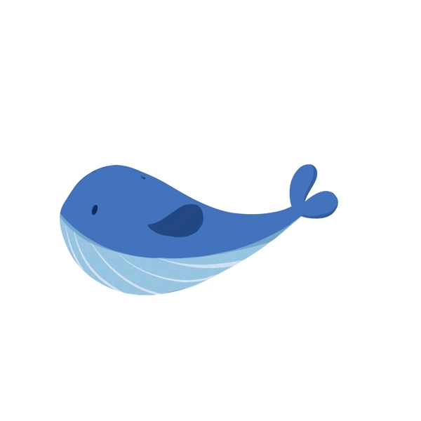 小清新手绘可爱海洋动物鲸鱼