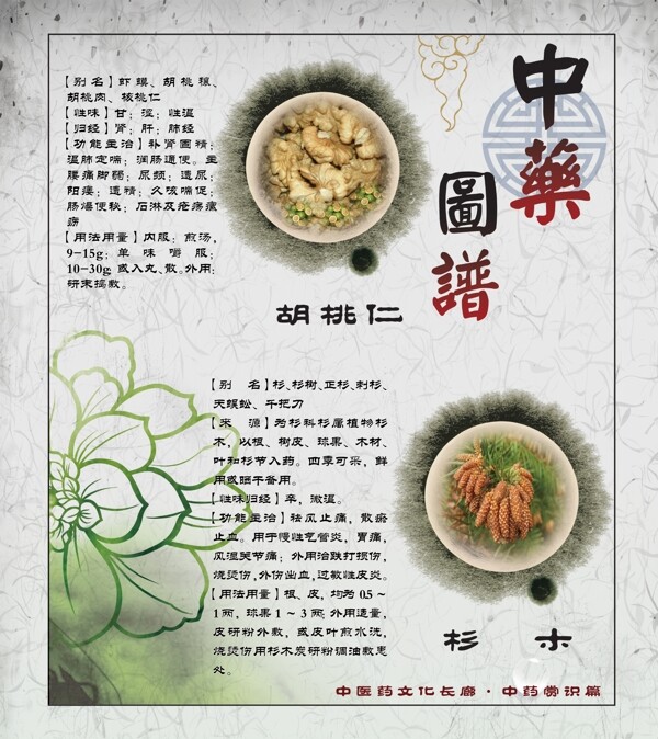 中藥圖片
