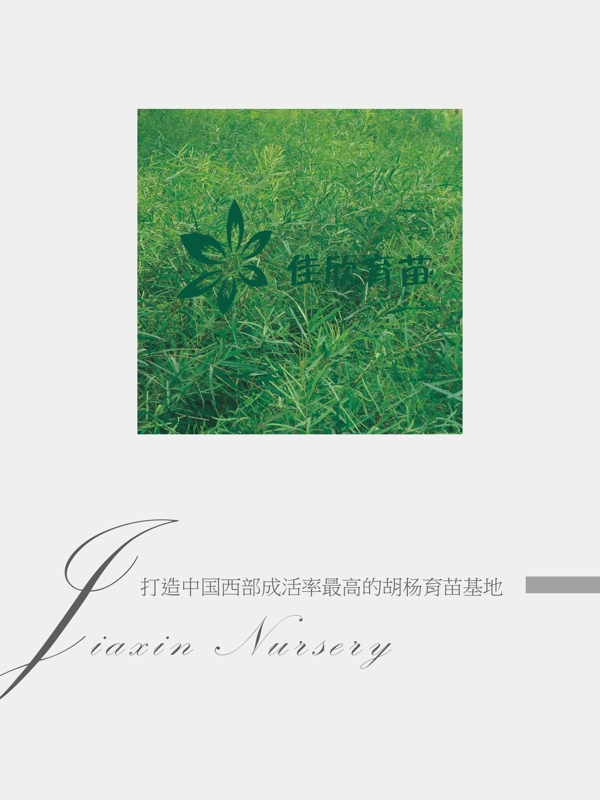 畫(huà)冊(cè)設(shè)計(jì)圖片