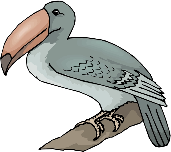 各種鳥(niǎo)類(lèi)鳥(niǎo)動(dòng)物矢量素材EPS格式1524