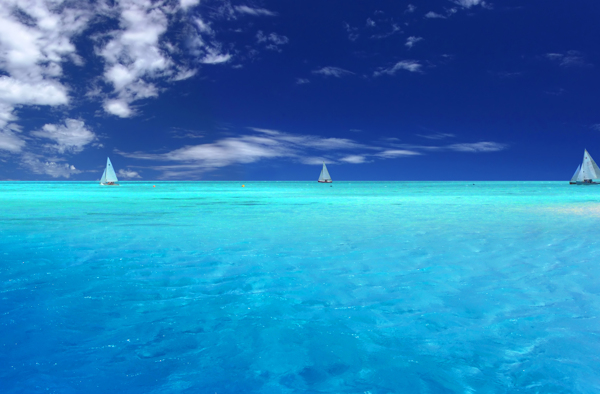 油畫