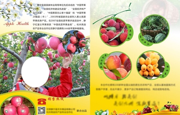 水果宣传单页图片