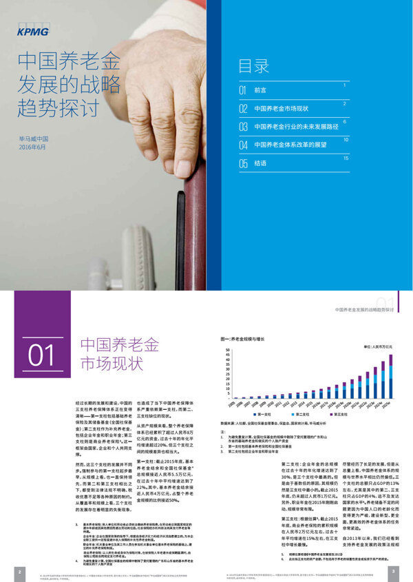 2016年中国养老金发展的战略趋势探讨分析报告文档
