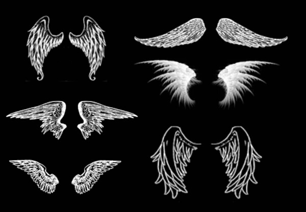 6种天使羽翼笔刷图片