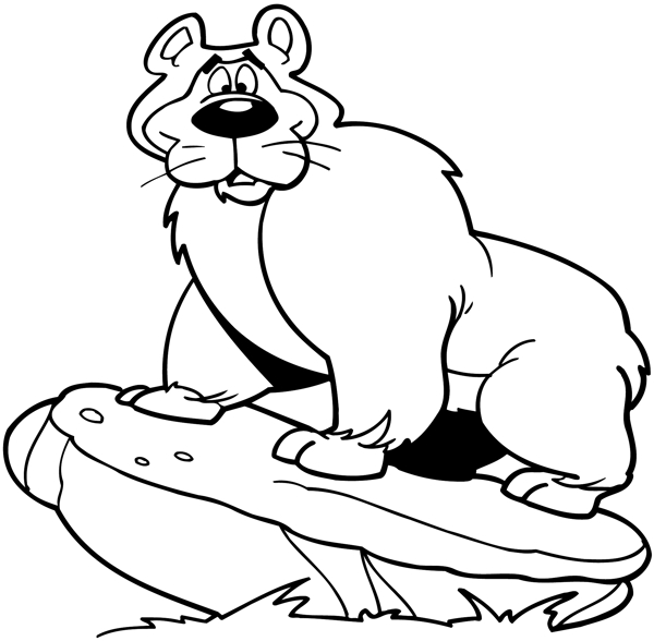 野生動物矢量素材eps格式0077