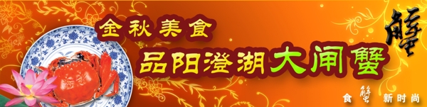 大閘蟹圖片