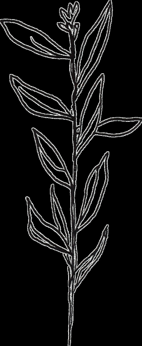 藝術(shù)桃花卡通透明素材