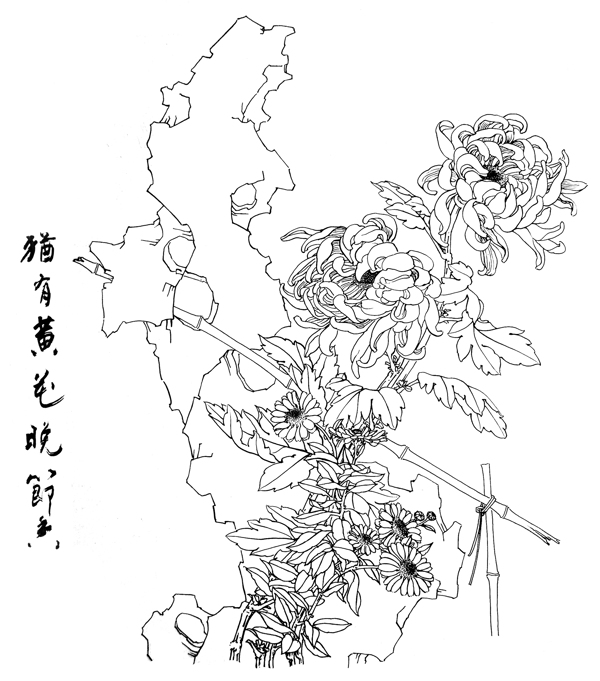 白描畫(huà)圖片