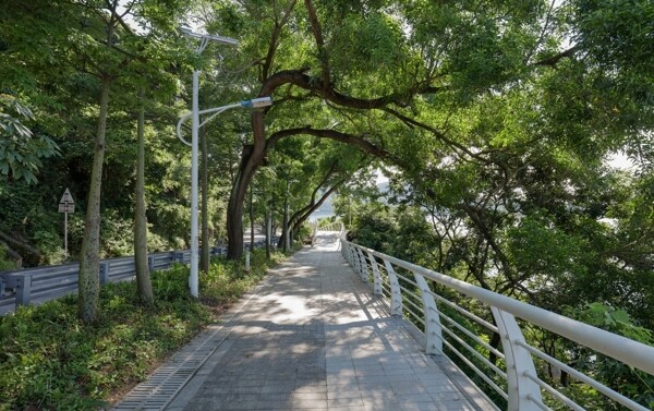 海濱綠道