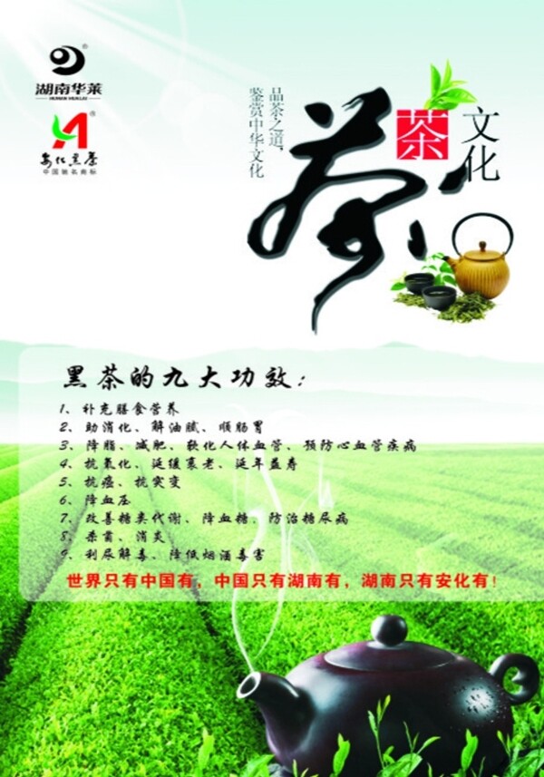 茶文化圖片