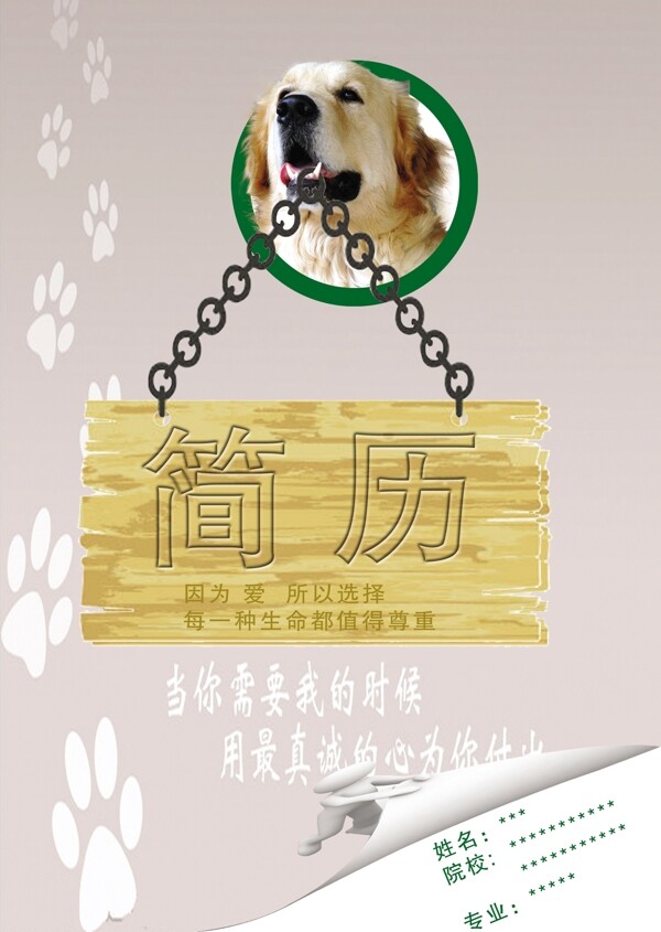 簡(jiǎn)歷圖片