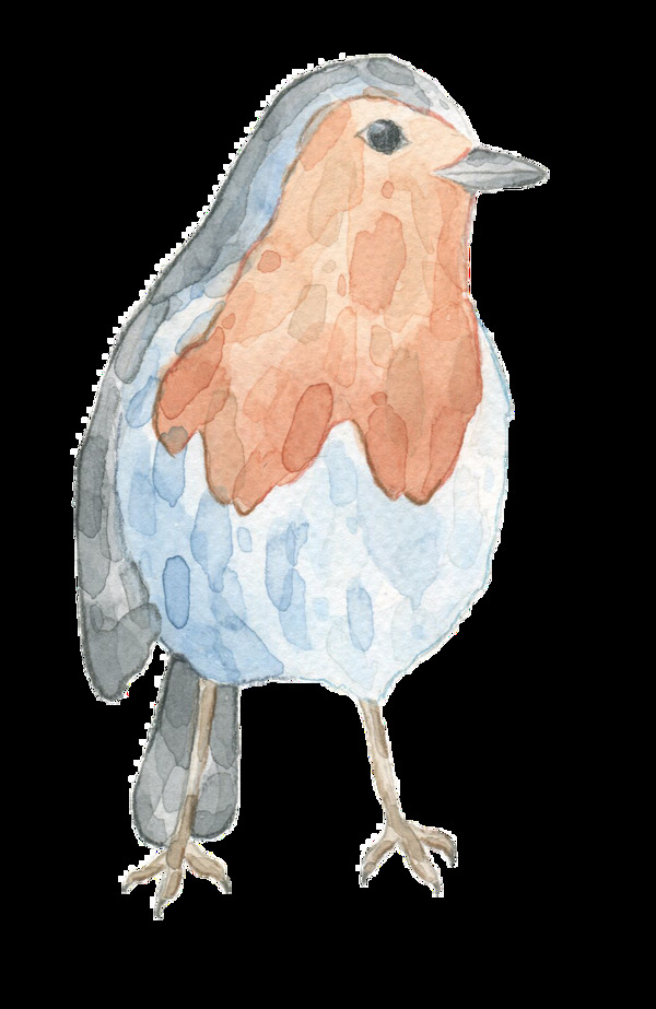 手绘迷茫的小鸟透明装饰图案