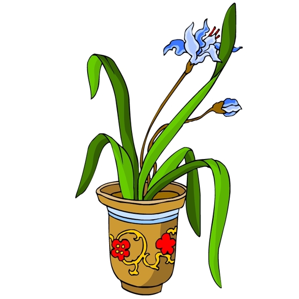 花卉古典插畫