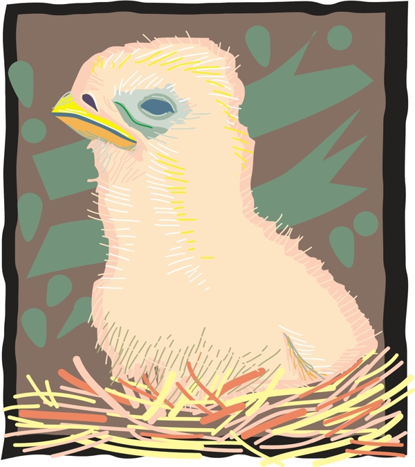 各種鳥類鳥動物矢量素材EPS格式0521