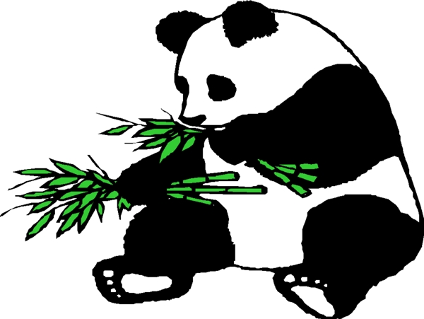熊貓圖片