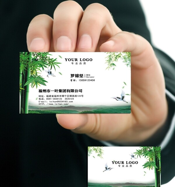 竹子名片圖片