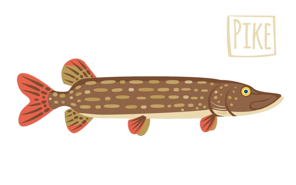 卡通插畫魚海鮮矢量素材