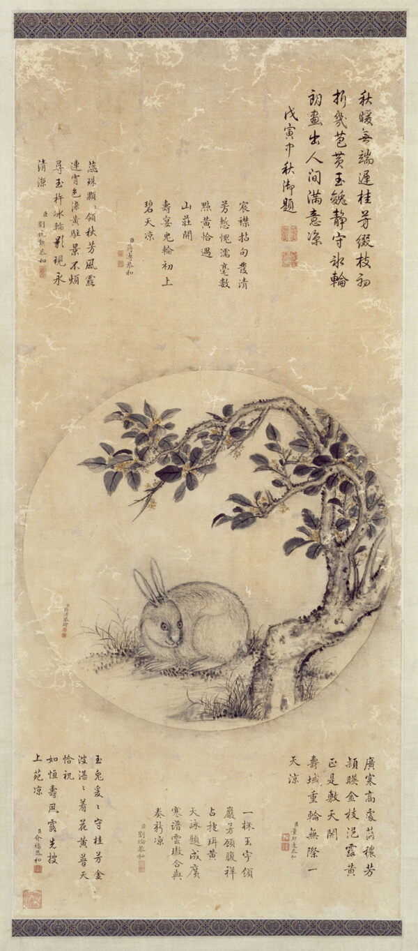 月中桂兔圖圖片