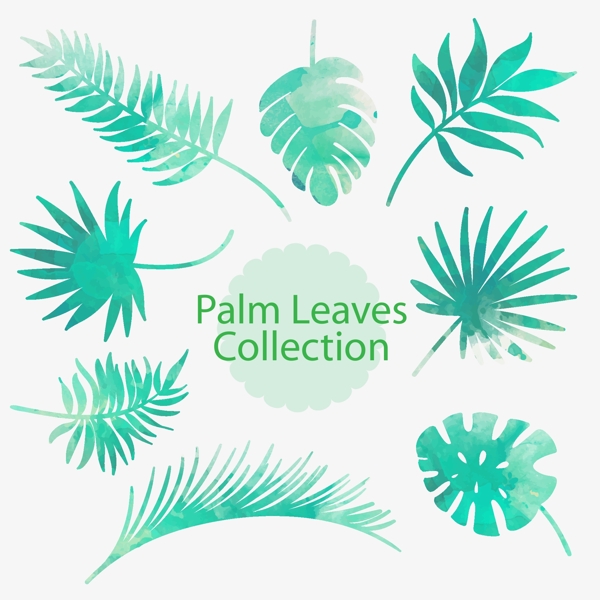 8款水彩绘棕榈树叶矢量素材