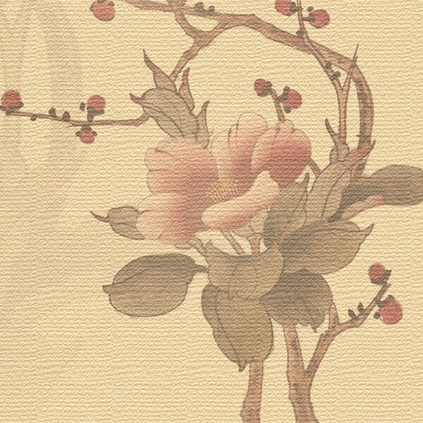 中国风玫瑰底纹背景