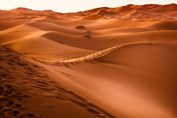荒凉沙漠沙丘