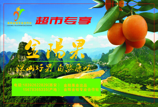 金桔不干膠