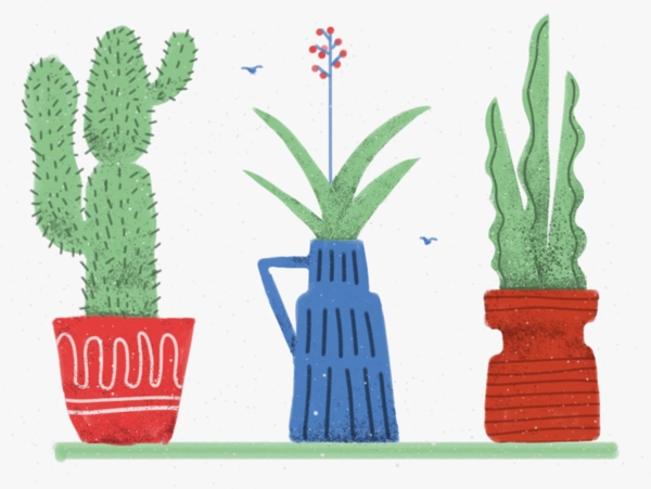 手繪植物插畫仙人掌盆栽
