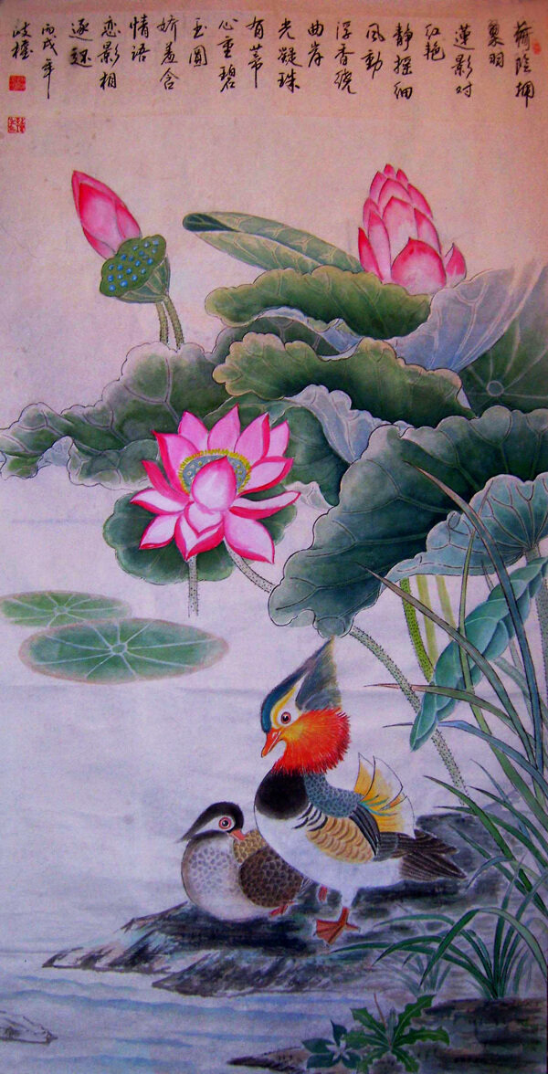 荷花鴛鴦圖圖片