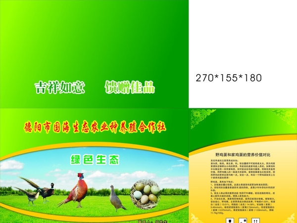 野雞