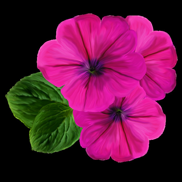 粉色花素材