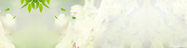 淘寶背景banner